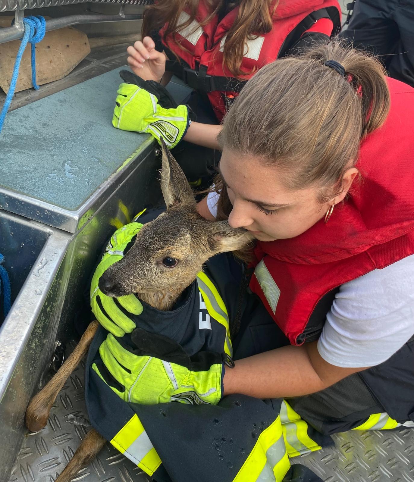 Tierrettung auf der Donau