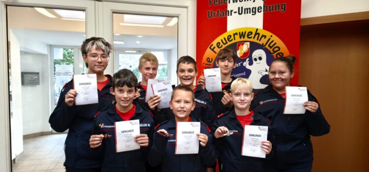 Wissenstest